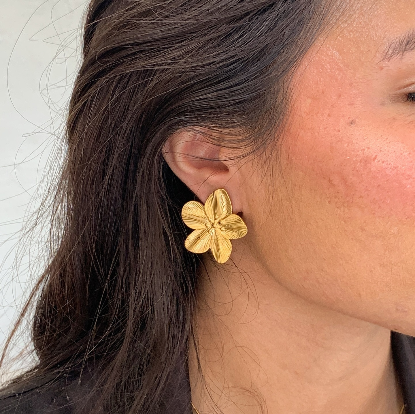 Constanza Aretes Musas Joyeria SLP